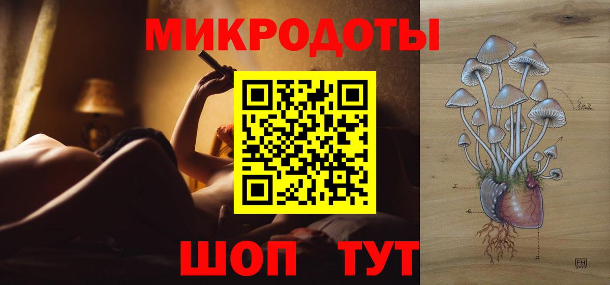 Псилоцибиновые грибы Psilocybine cubensis Узловая