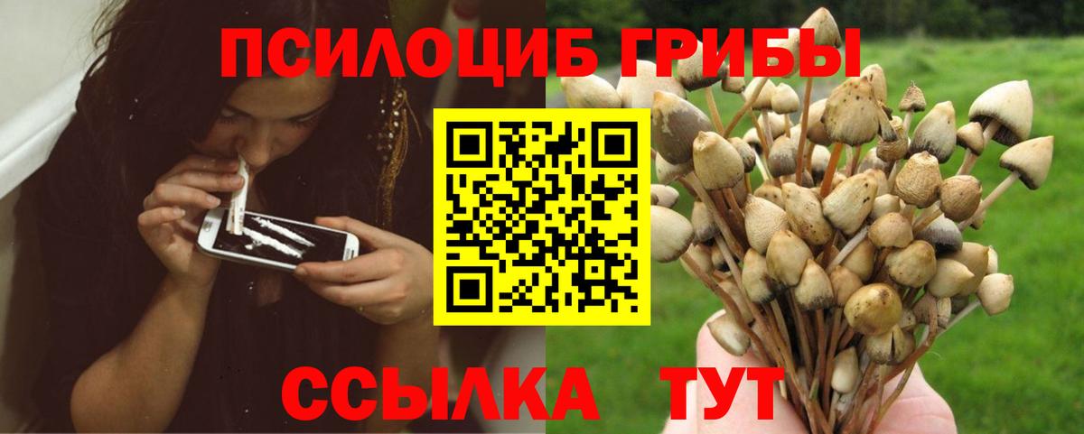 Галлюциногенные грибы мухоморы  Вход с VPN  Узловая  Галлюциногенные грибы мицелий 